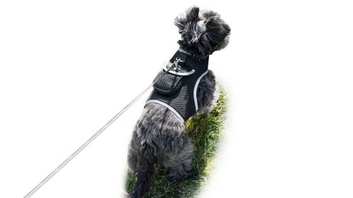 Pet Tracker Collar Mini GSM GPS Android Pet Tracker Portable Tracking Tool Size:M