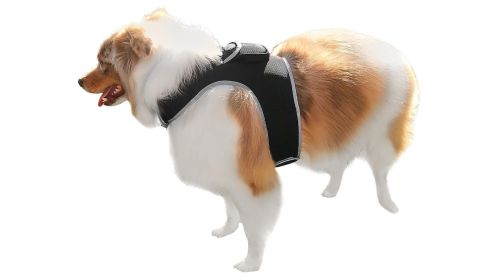 Pet Tracker Mini Surveillance Pet GPS Tracking Cell Phone Portable Tracker Size:M