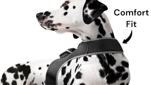 Realtime GPRS GPS Surveillance Mini Pet Tracking Device for Dog w/ App Size:XXL