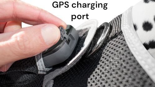 Portable GSM GPS Puppy Tracking Collar Waterproof Rechargeable Tracker Size:XXL