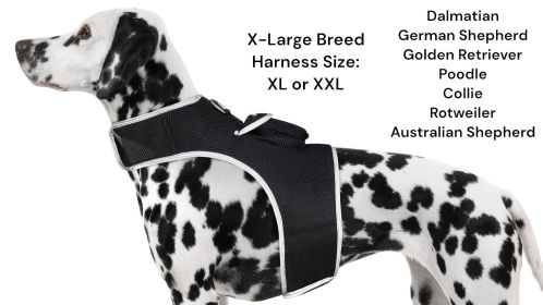 Portable Realtime GSM GPS Dog Tracking Collar Attach Mini Tracker NEW Size:XXL